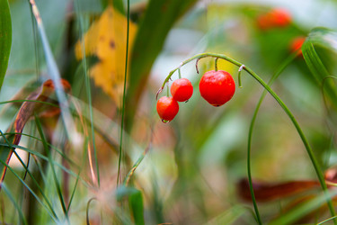 Similar image 21885303