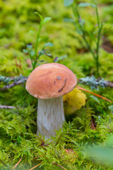 Similar image 21885304