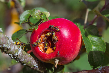 Similar image 21885305