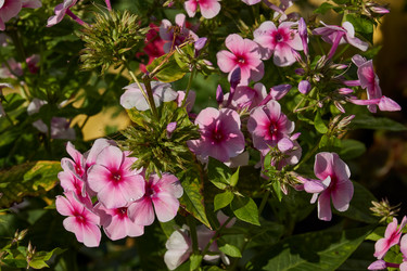 Similar image 21885306