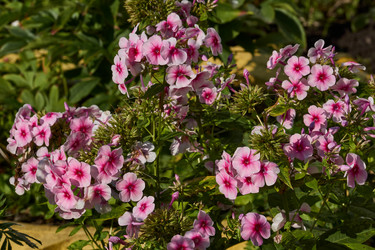 Similar image 21885307