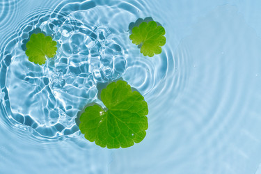 Similar image 21885436