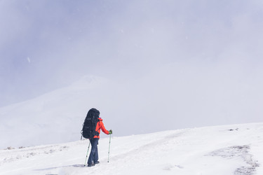 Similar image 21885691