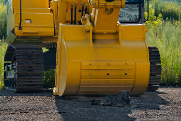 Similar image 21885445