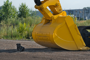 Similar image 21885447