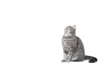 Similar image 21887761