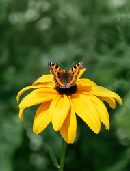 Similar image 21887762