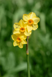 Similar image 21887763