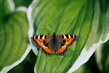 Similar image 21887764