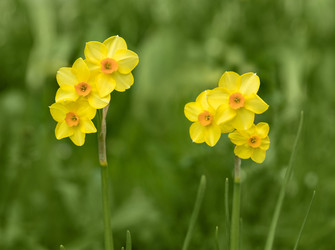 Similar image 21887765