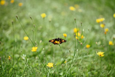 Similar image 21887766