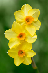 Similar image 21887767