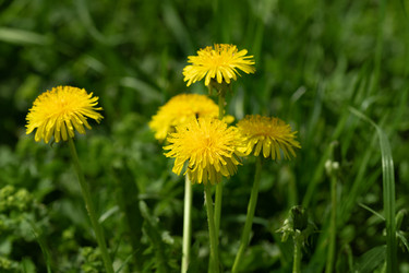 Similar image 21887771