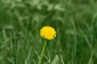 Similar image 21887772