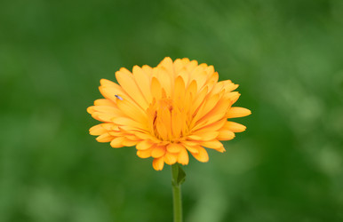 Similar image 21887773