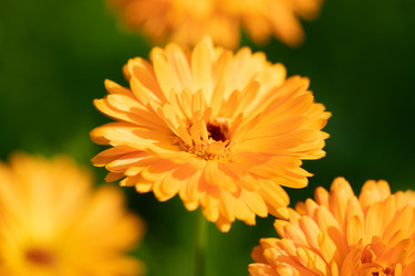 Similar image 21887774