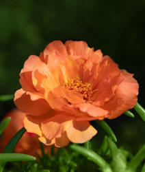 Similar image 21887776