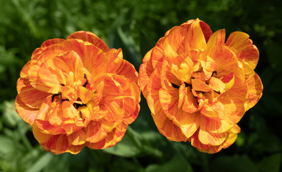 Similar image 21887777