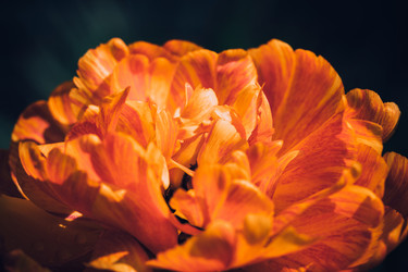 Similar image 21887778