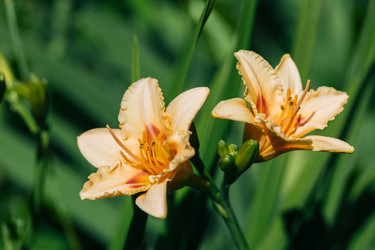 Similar image 21887781