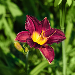 Similar image 21887782