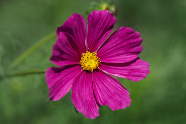 Similar image 21887785