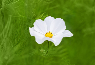 Similar image 21887787