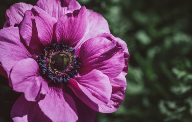 Similar image 21887790