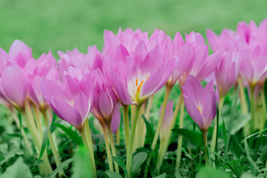 Similar image 21887794