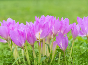 Similar image 21887796