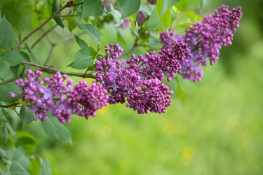 Similar image 21887797