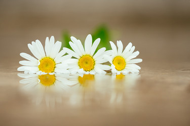 Similar image 21887798