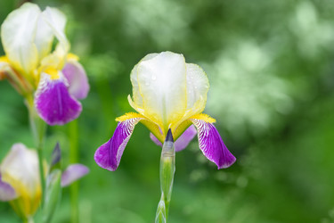 Similar image 21887851