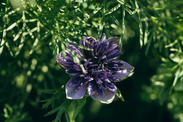 Similar image 21887852