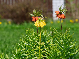 Similar image 21887854