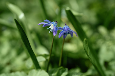 Similar image 21887855