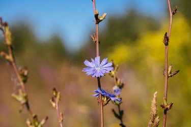 Similar image 21887858