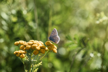 Similar image 21887859