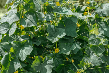 Similar image 21887860