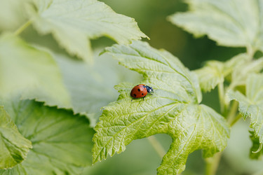 Similar image 21887863