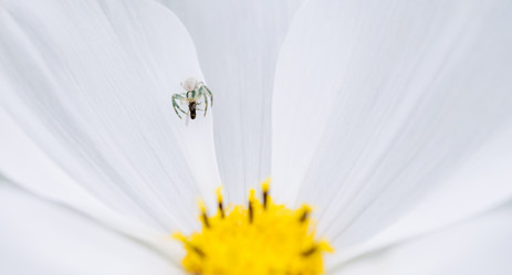 Similar image 21887867