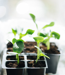 Similar image 21887868