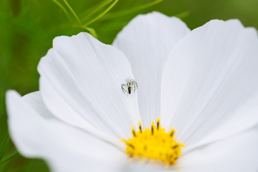 Similar image 21887869