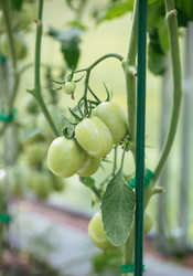 Similar image 21887870