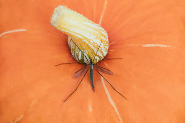 Similar image 21887871