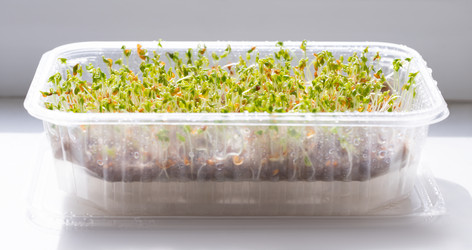 Similar image 21887876