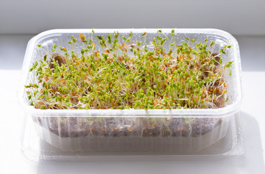 Similar image 21887878