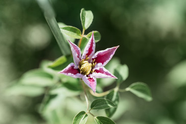 Similar image 21887879