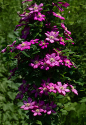 Similar image 21887881