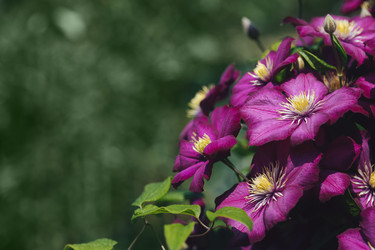 Similar image 21887883